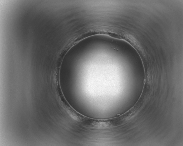 X0000070880449200606302142