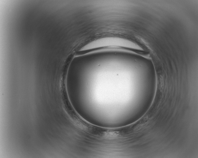 X0000070880451200606302142