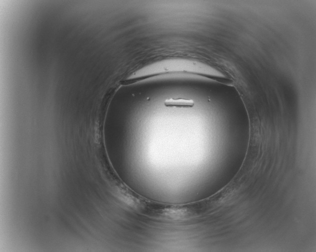 X0000070880457200606302142