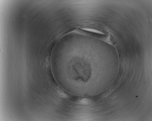 X0000070880467200606302142