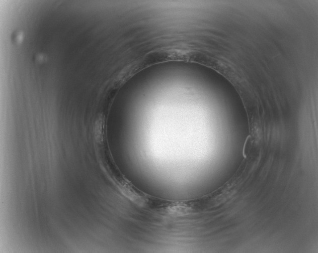 X0000070880468200606302142