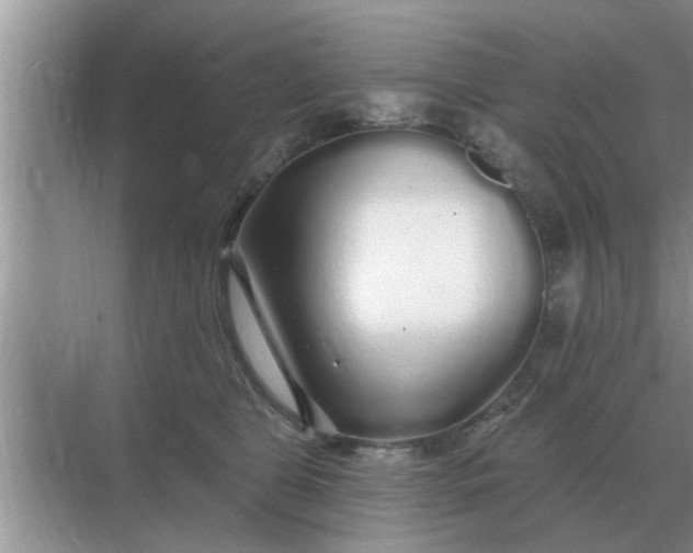 X0000070880469200606302142