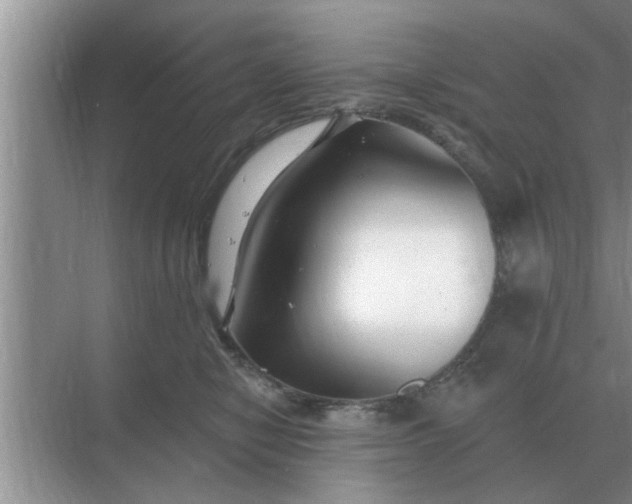 X0000070880470200606302142