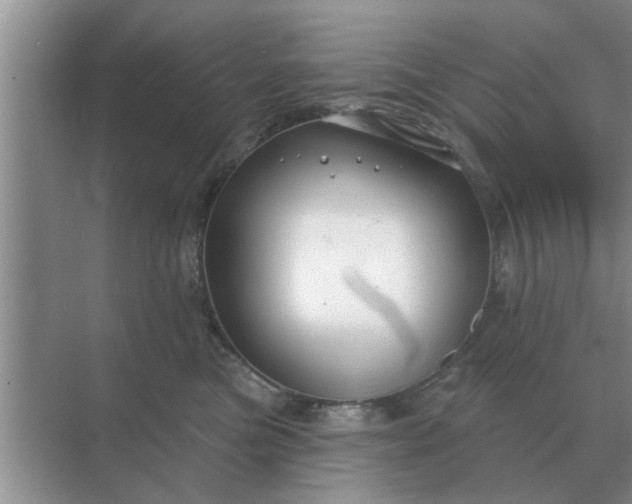 X0000070880473200606302142