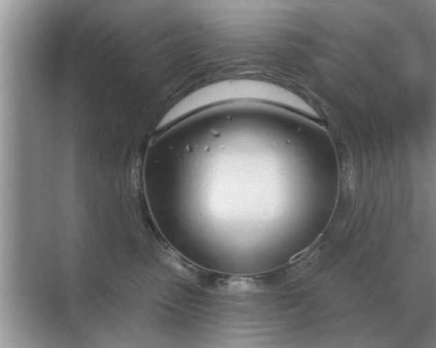 X0000070880475200606302142