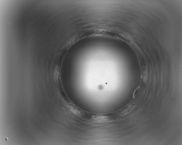 X0000070880476200606302142