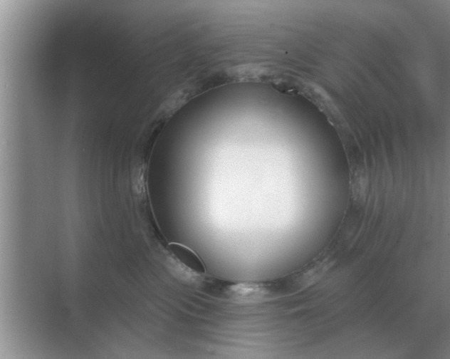 X0000070880477200606302142