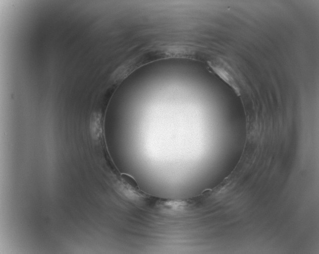 X0000070880478200606302142