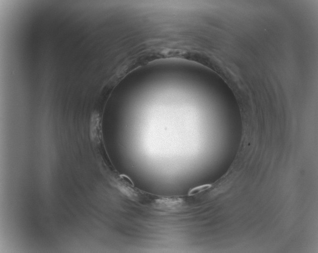 X0000070880480200606302142