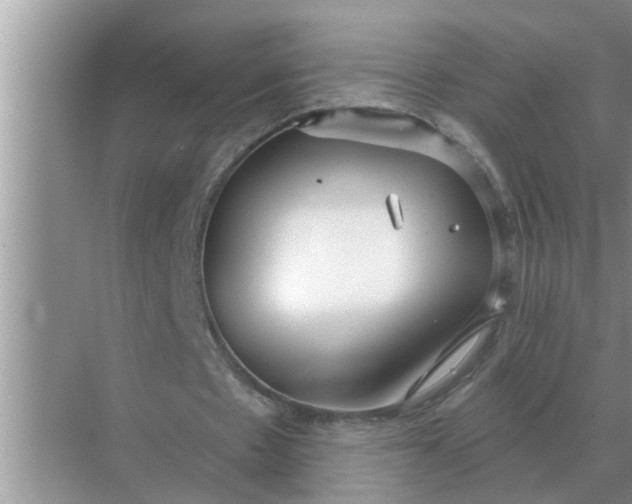 X0000070880481200606302141