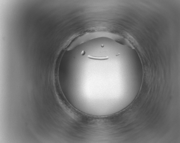 X0000070880482200606302141