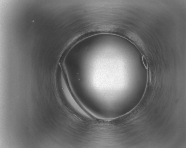 X0000070880483200606302141