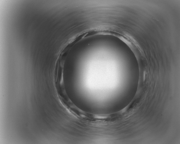 X0000070880485200606302141