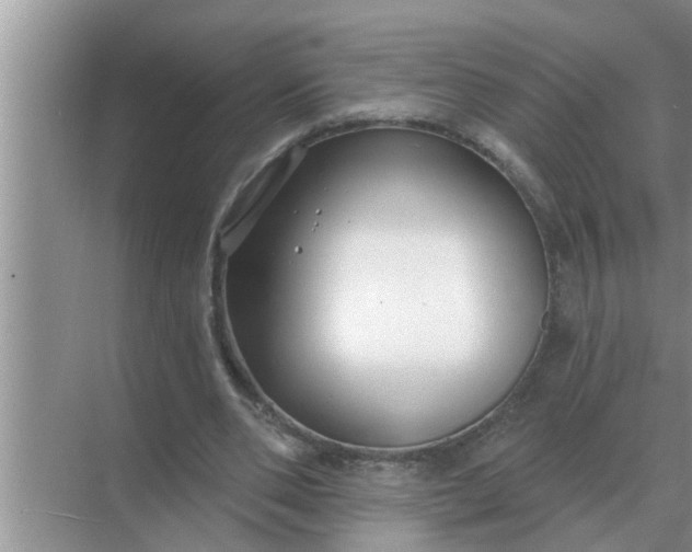 X0000070880486200606302141