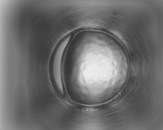 X0000070880487200606302141