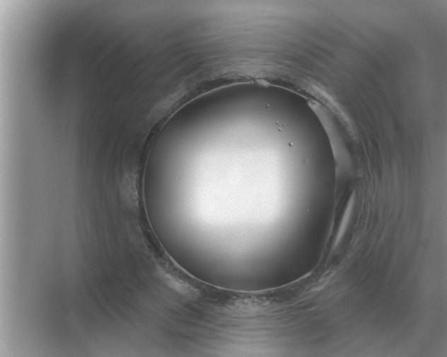 X0000070880489200606302141