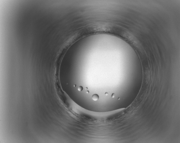 X0000070880490200606302141