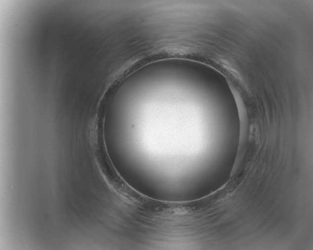 X0000070880492200606302141