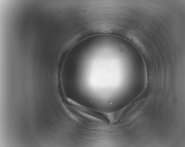 X0000070880493200606302141