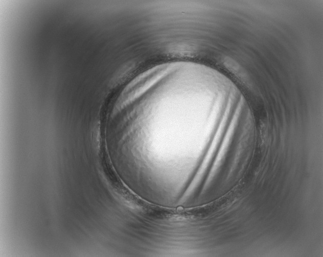 X0000070880494200606302141