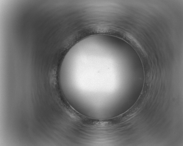 X0000070880497200606302141