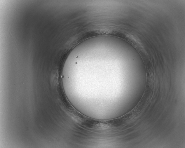 X0000070880498200606302141