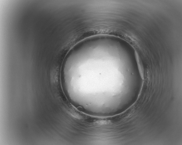 X0000070880499200606302141