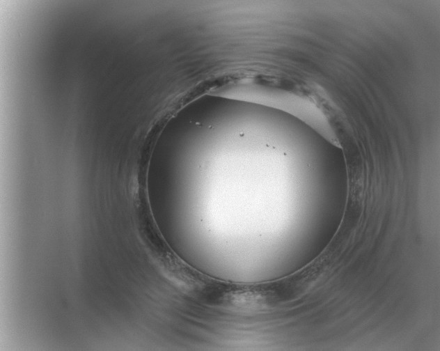 X0000070880500200606302141