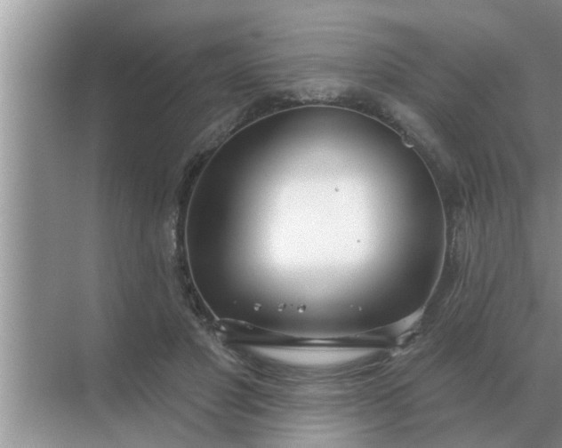 X0000070880501200606302141