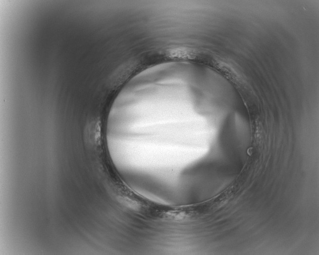 X0000070880502200606302141