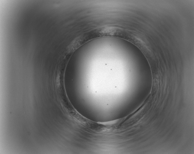 X0000070880504200606302141