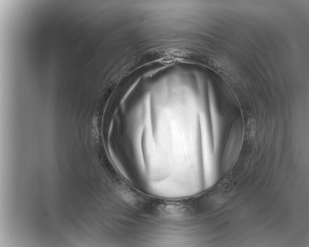 X0000070880506200606302141