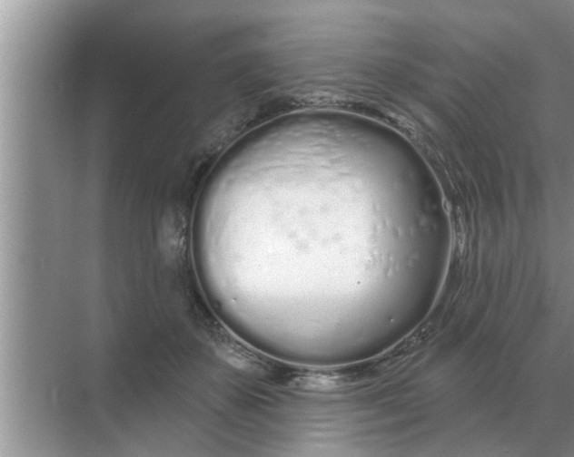 X0000070880507200606302141