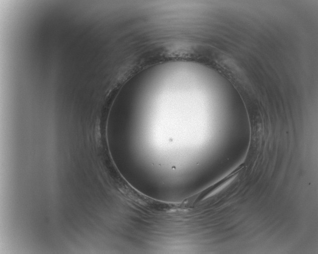 X0000070880508200606302141