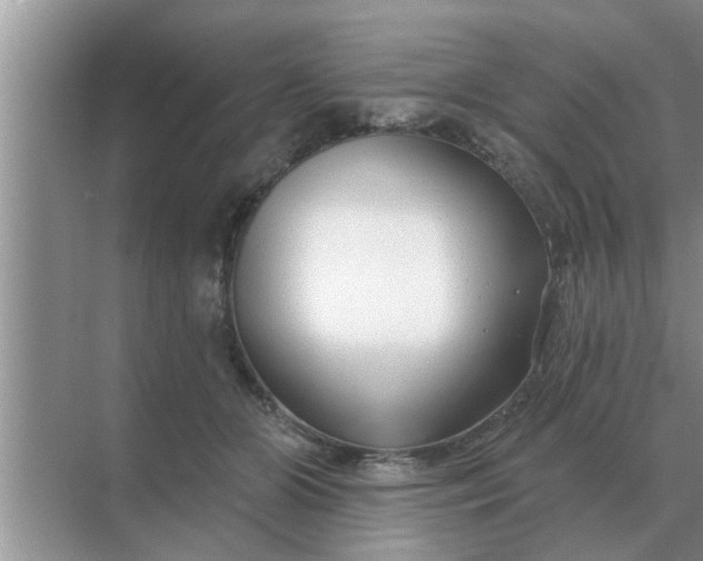 X0000070880510200606302141