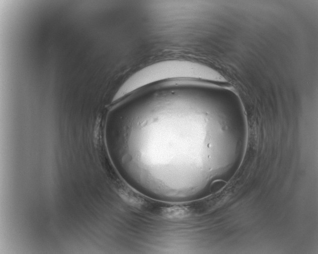 X0000070880511200606302141