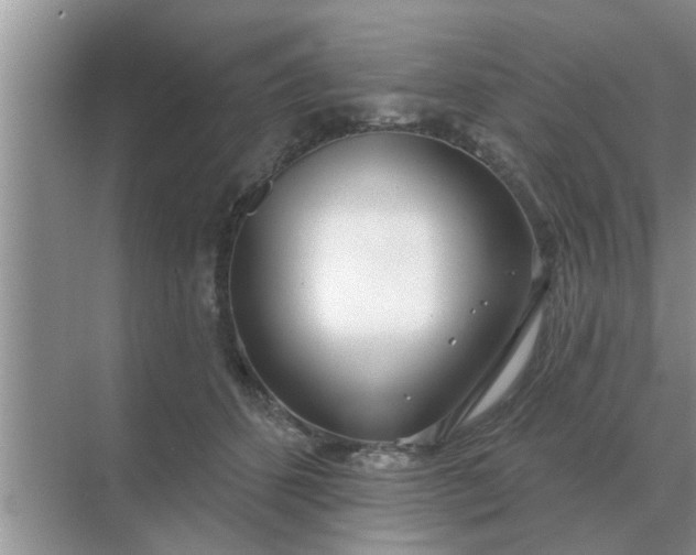 X0000070880512200606302141