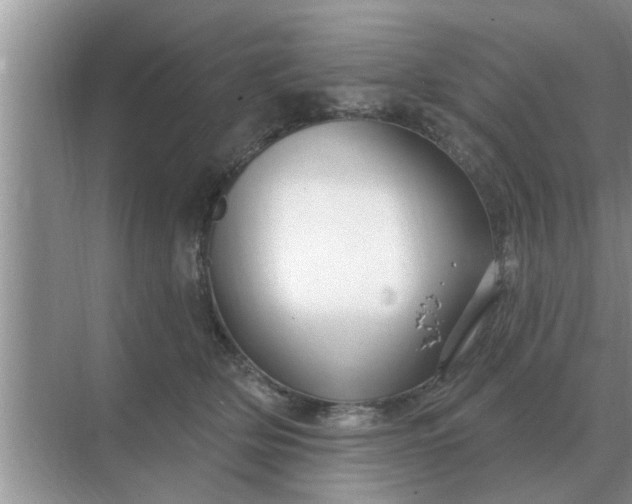 X0000070880514200606302141