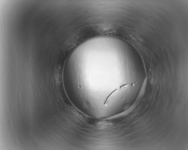 X0000070880515200606302141