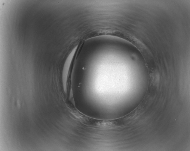 X0000070880517200606302141