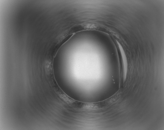 X0000070880521200606302141