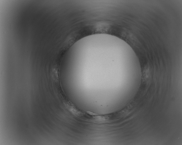 X0000070880522200606302141