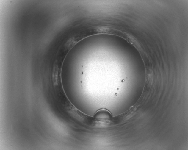 X0000070880525200606302141