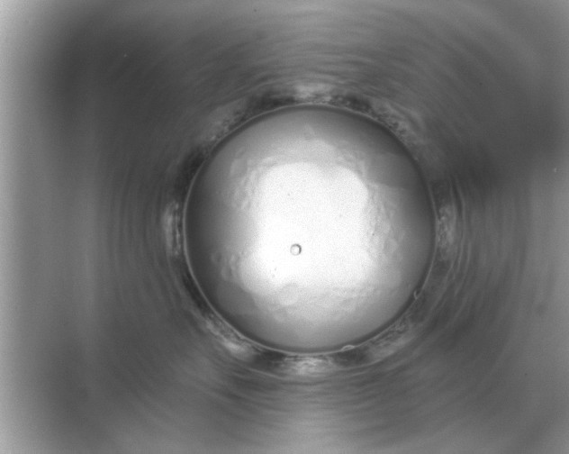 X0000070880527200606302141