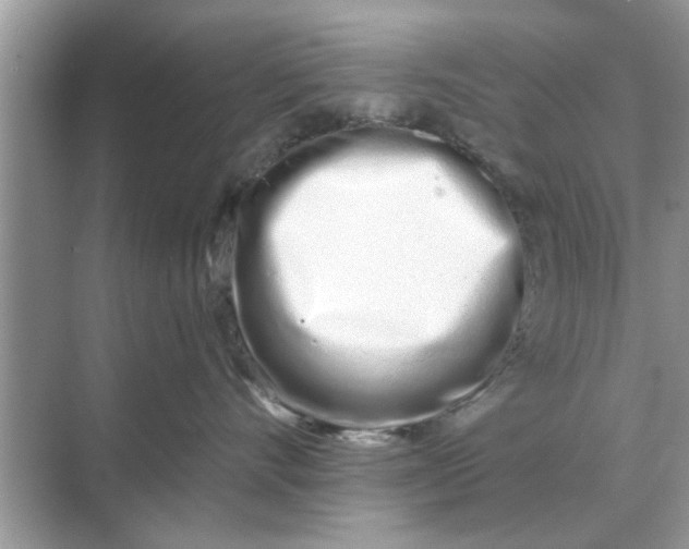 X0000070880528200606302141