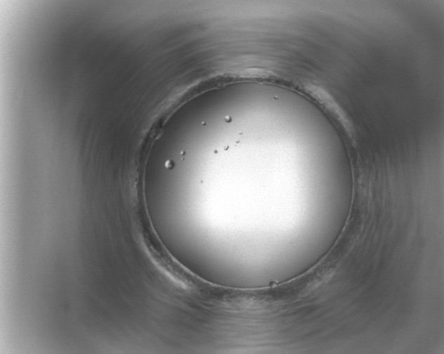 X0000070880533200606302140