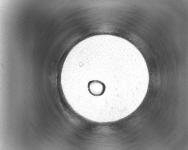 X0000070880534200606302140