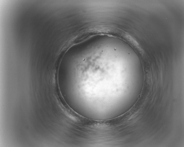 X0000070880537200606302140