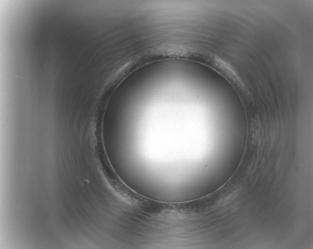 X0000070880538200606302140