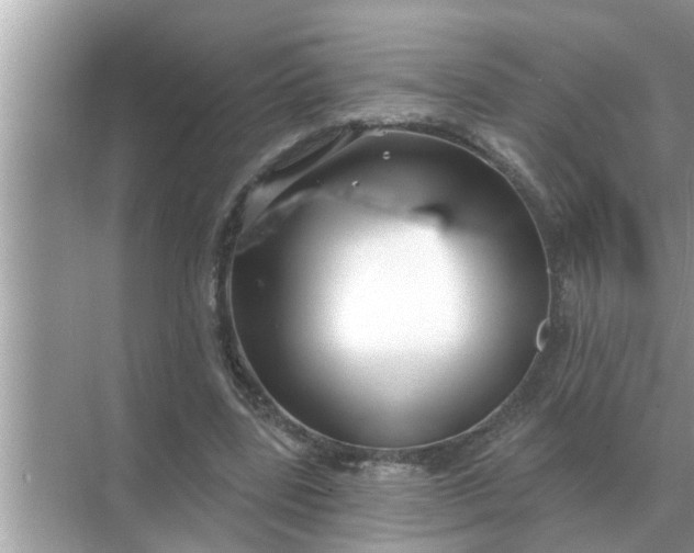 X0000070880539200606302140